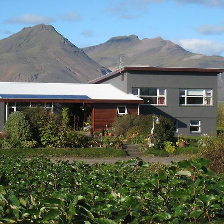 Dilksnes Guesthouse Höfn Exterior foto