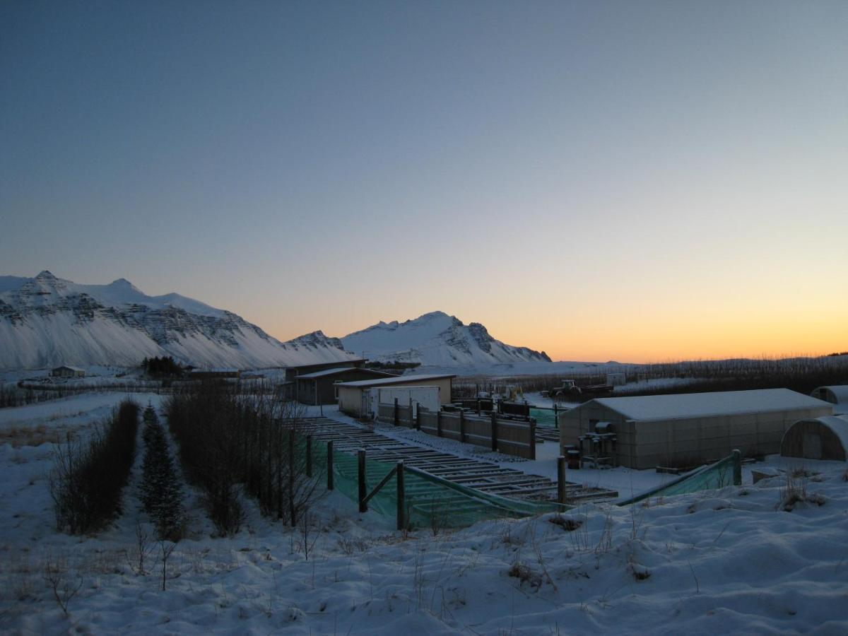 Dilksnes Guesthouse Höfn Exterior foto