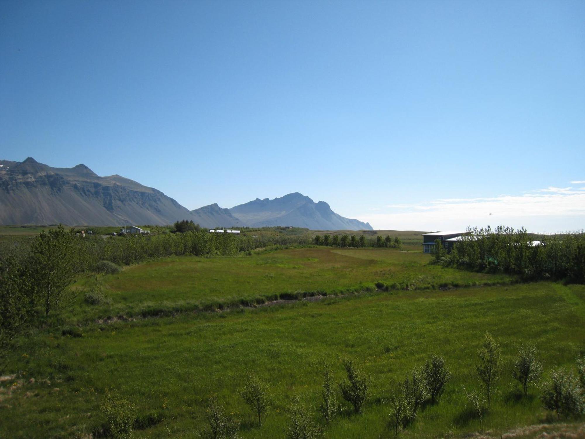 Dilksnes Guesthouse Höfn Exterior foto