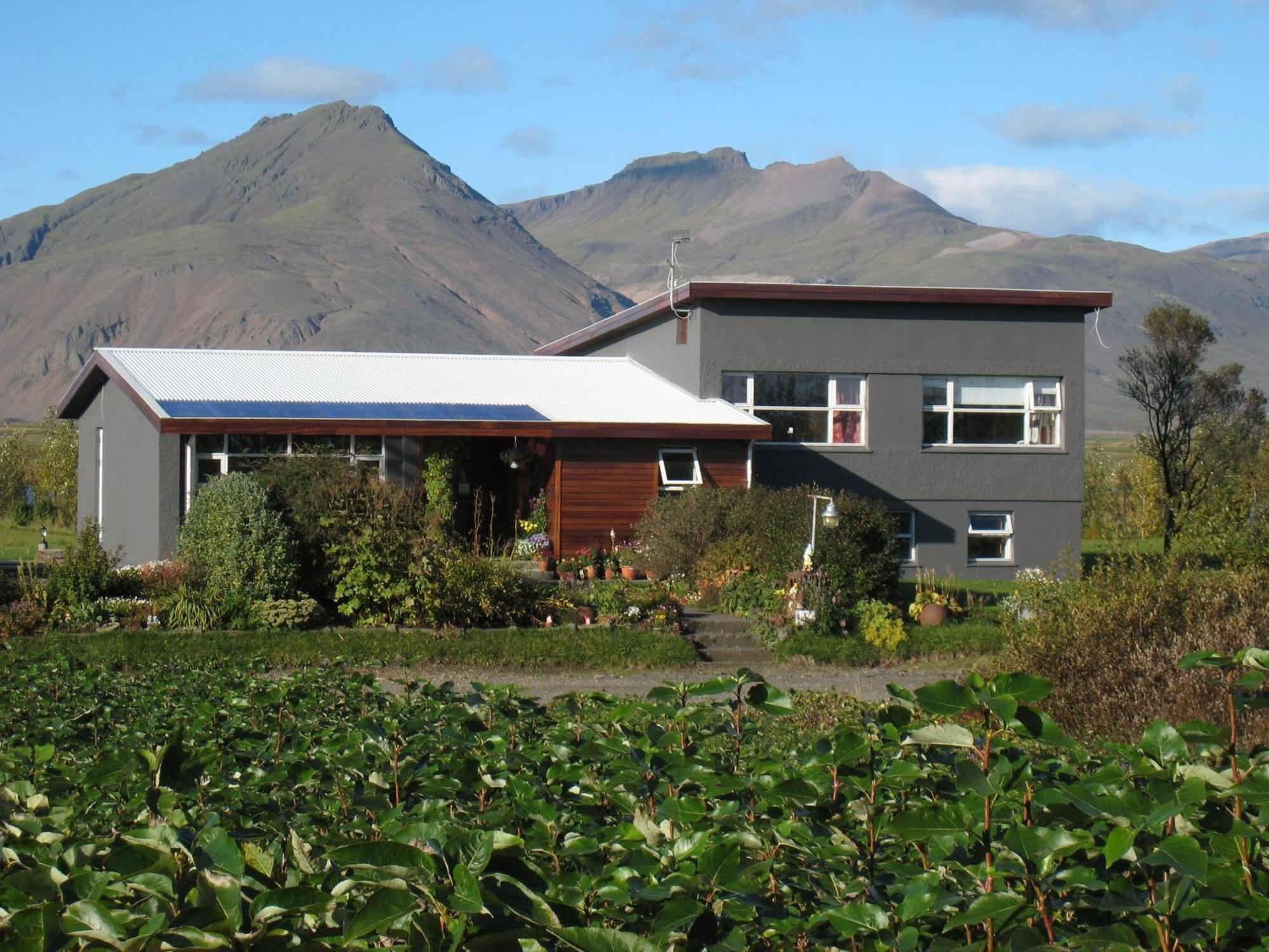 Dilksnes Guesthouse Höfn Exterior foto
