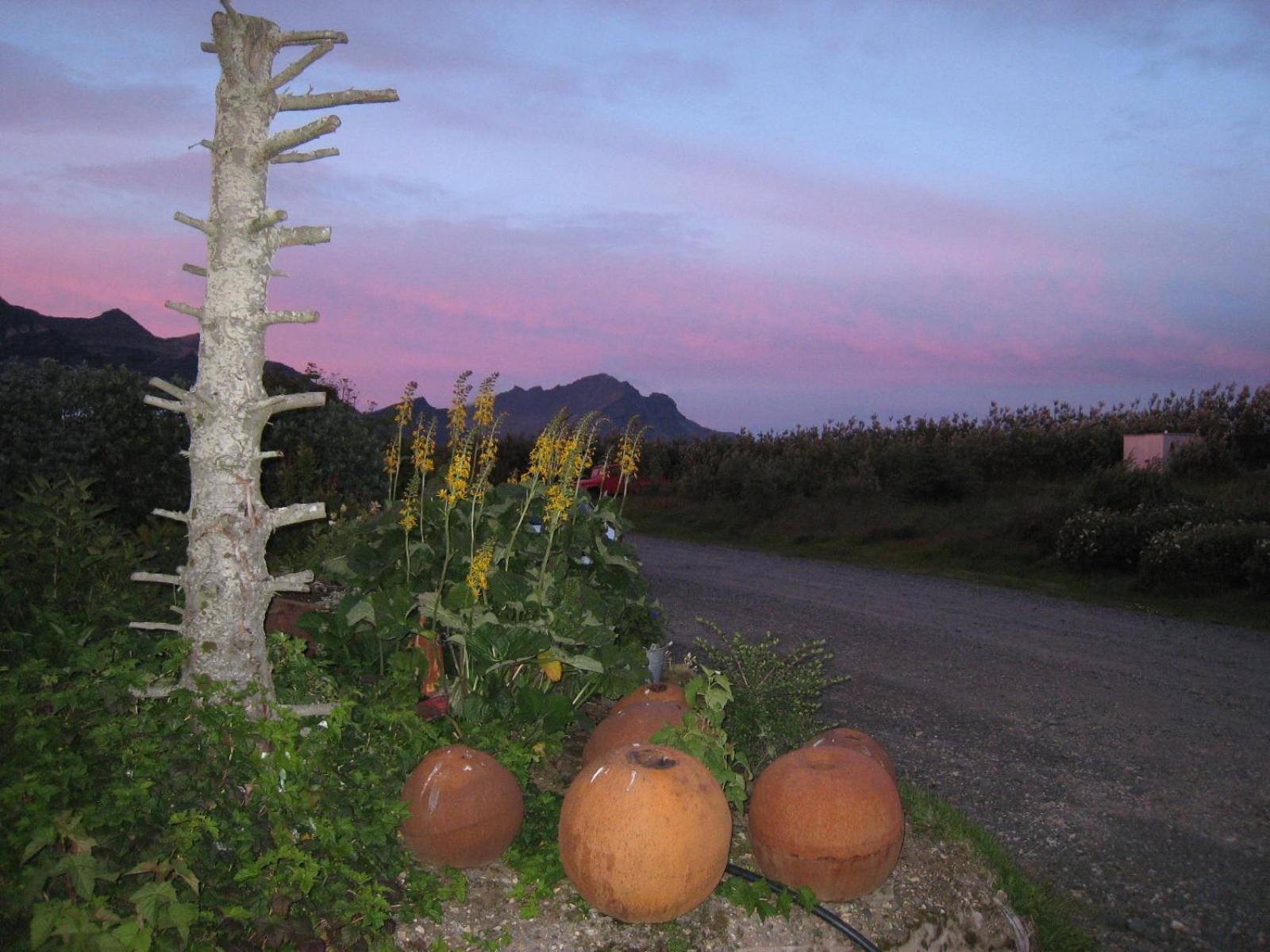 Dilksnes Guesthouse Höfn Exterior foto