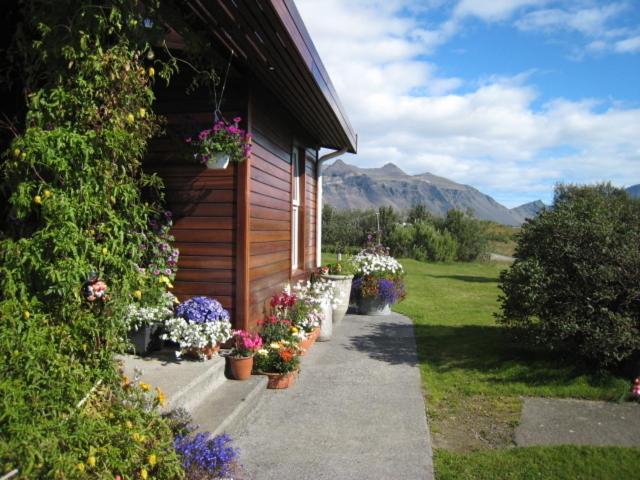 Dilksnes Guesthouse Höfn Exterior foto