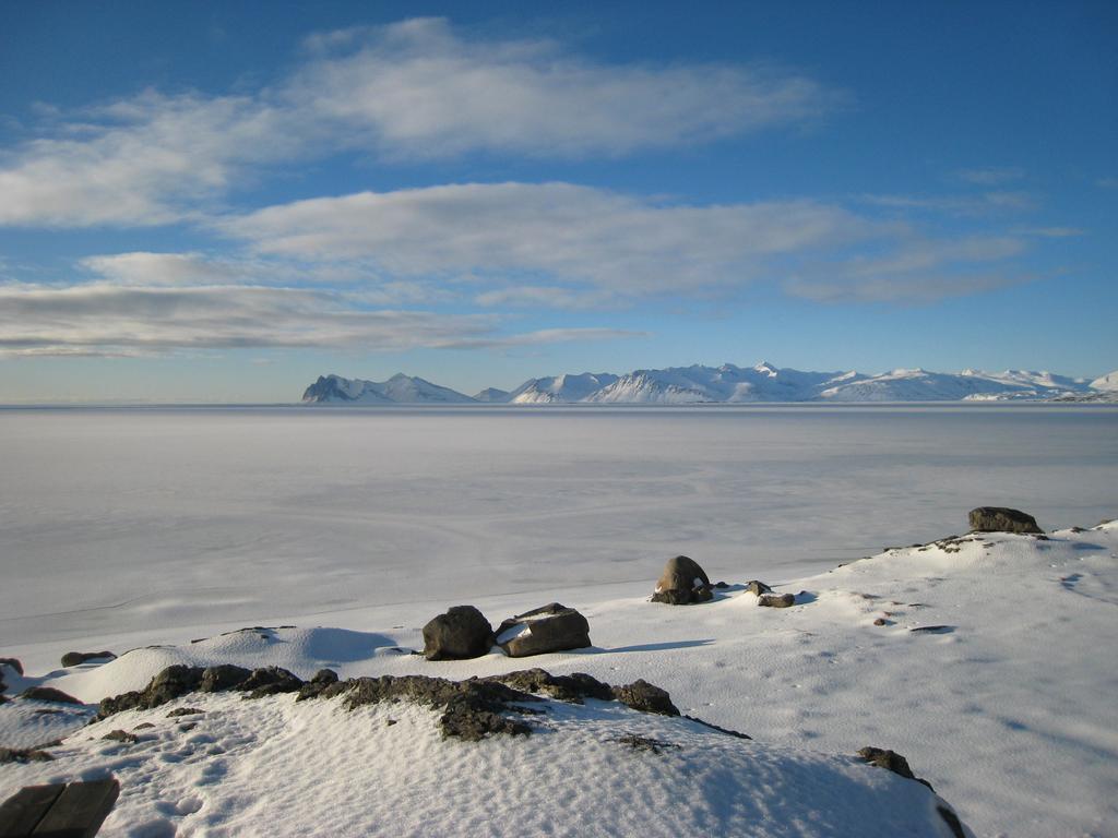 Dilksnes Guesthouse Höfn Exterior foto